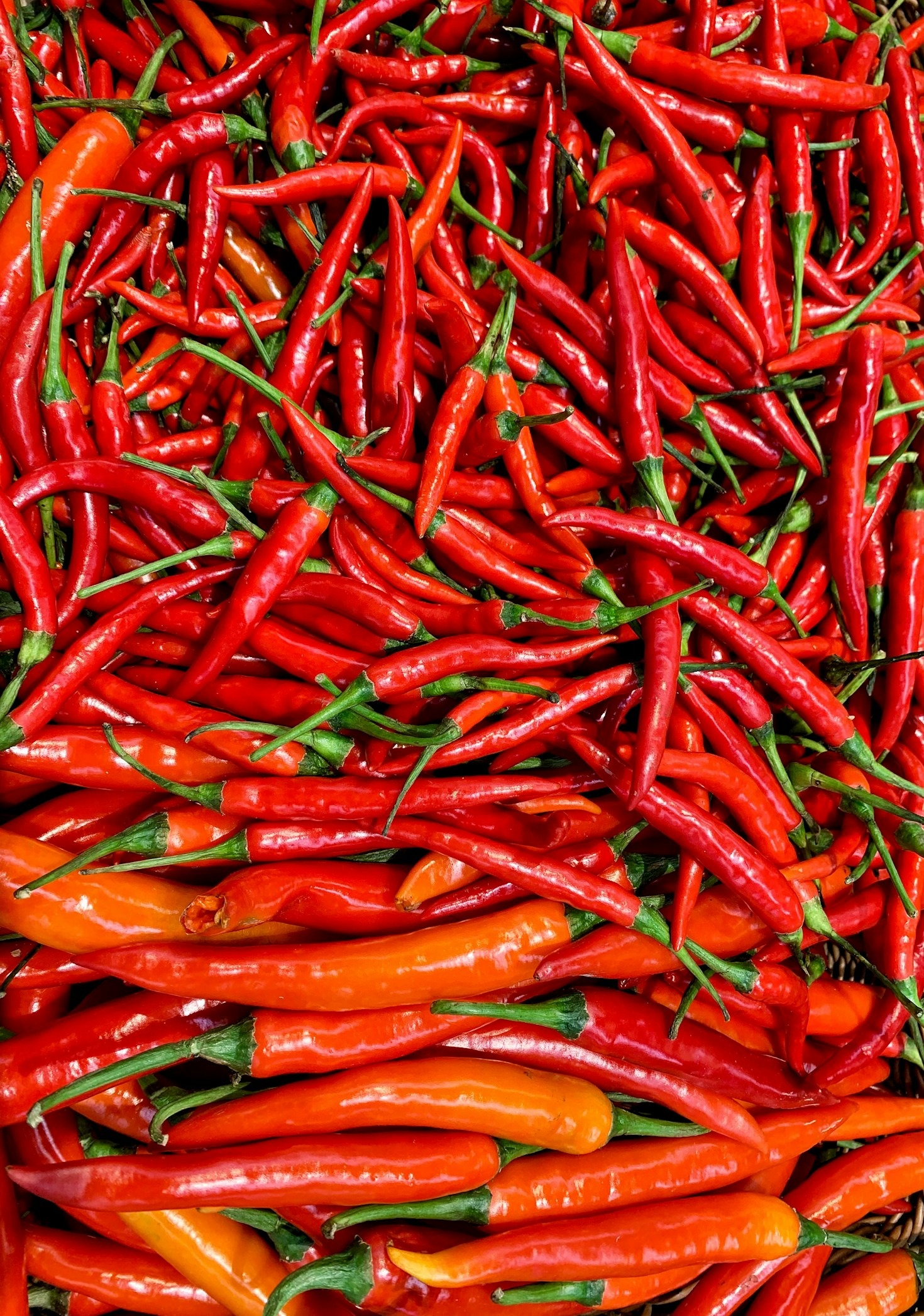 The Science of Pungency: Unlocking the Secrets of Chile Pepper Heat