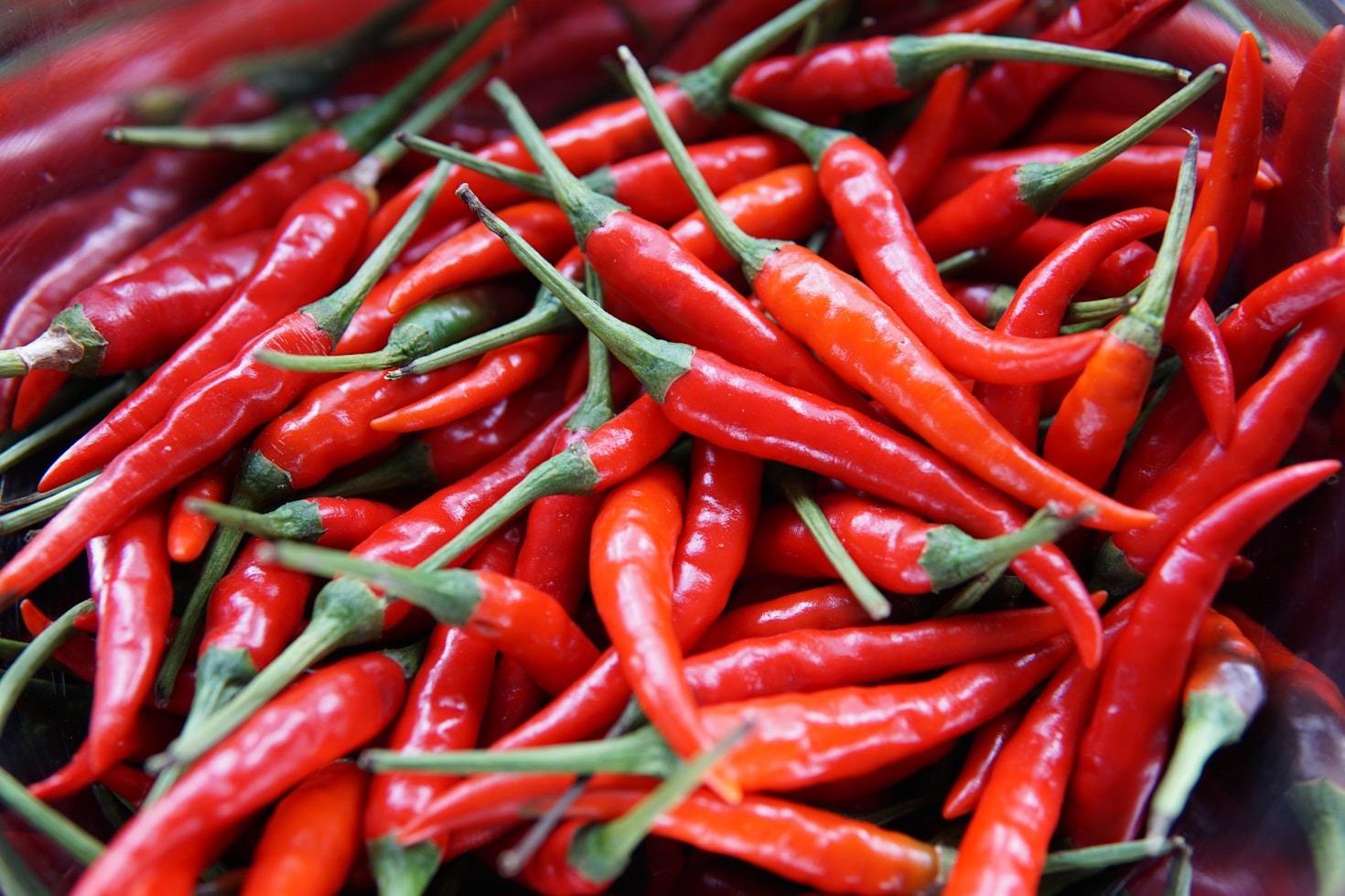 Beyond the Burn: Exploring the Complex Heat of Chinese Cuisine